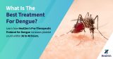 What is the best treatment for dengue