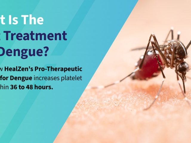 What is the Best Treatment for Dengue?