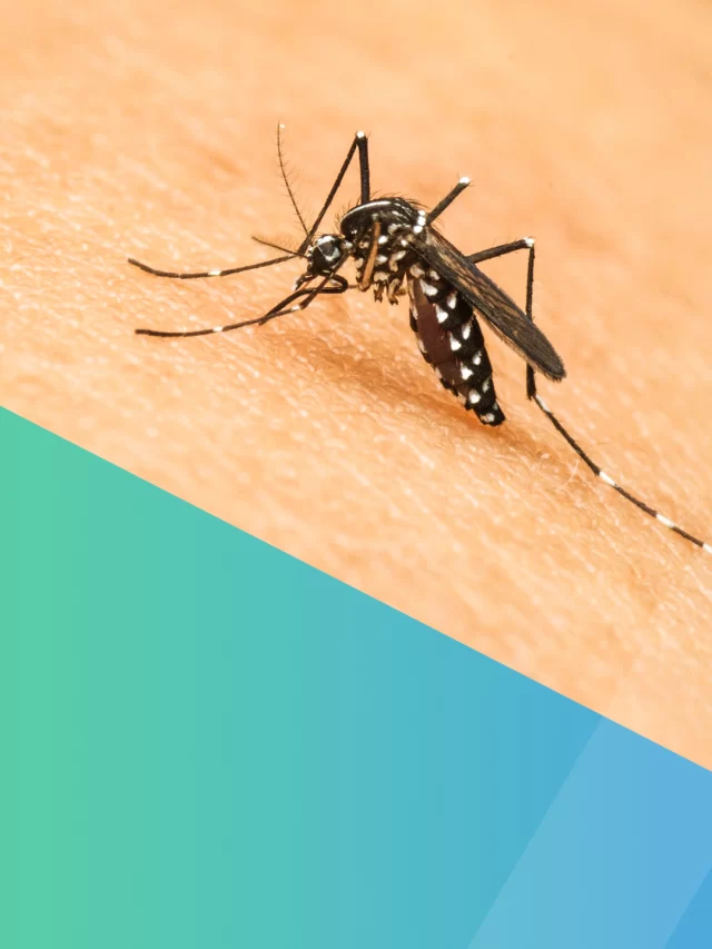 Why Healzen Protocol is Best for Dengue Recovery